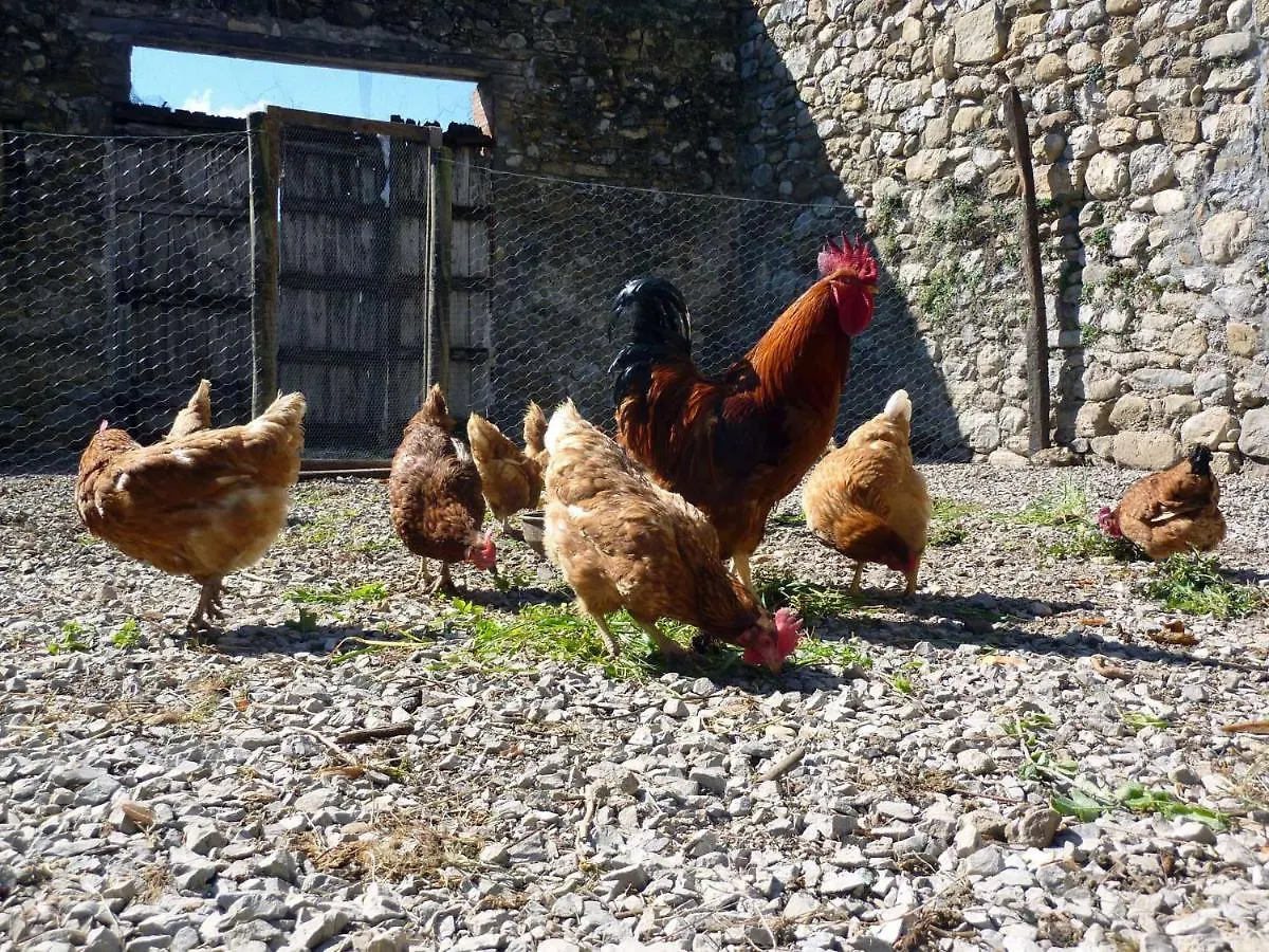 Maison d'hôtes Mas Espuella à Argelaguer Séjour à la campagne